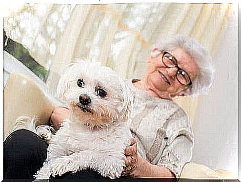 Animal-assisted therapy is very beneficial for Alzheimer's patients. 