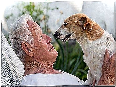 Animal-assisted therapy gives patients something to look forward to.