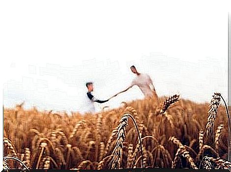 Two men stretch their hands towards each other in a grain field