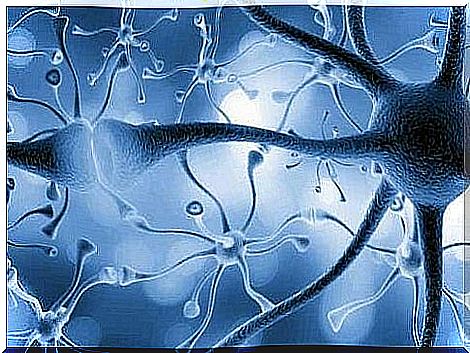 Multiple interconnected neurons.