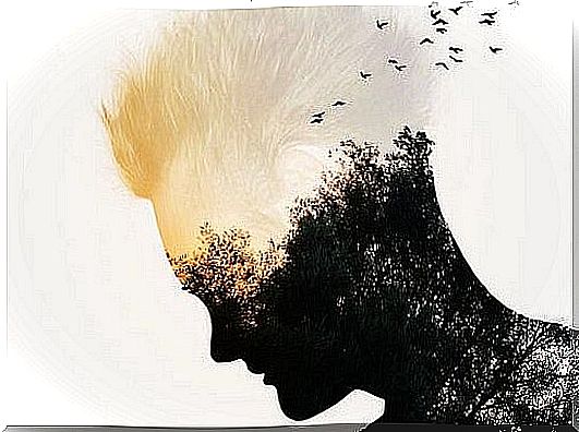 A silhouette of a man's face with birds in a forest