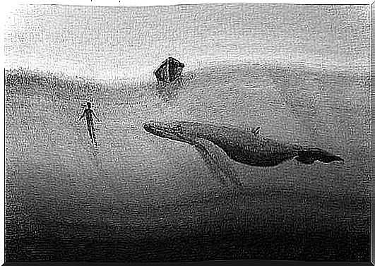 Whale and human under boat